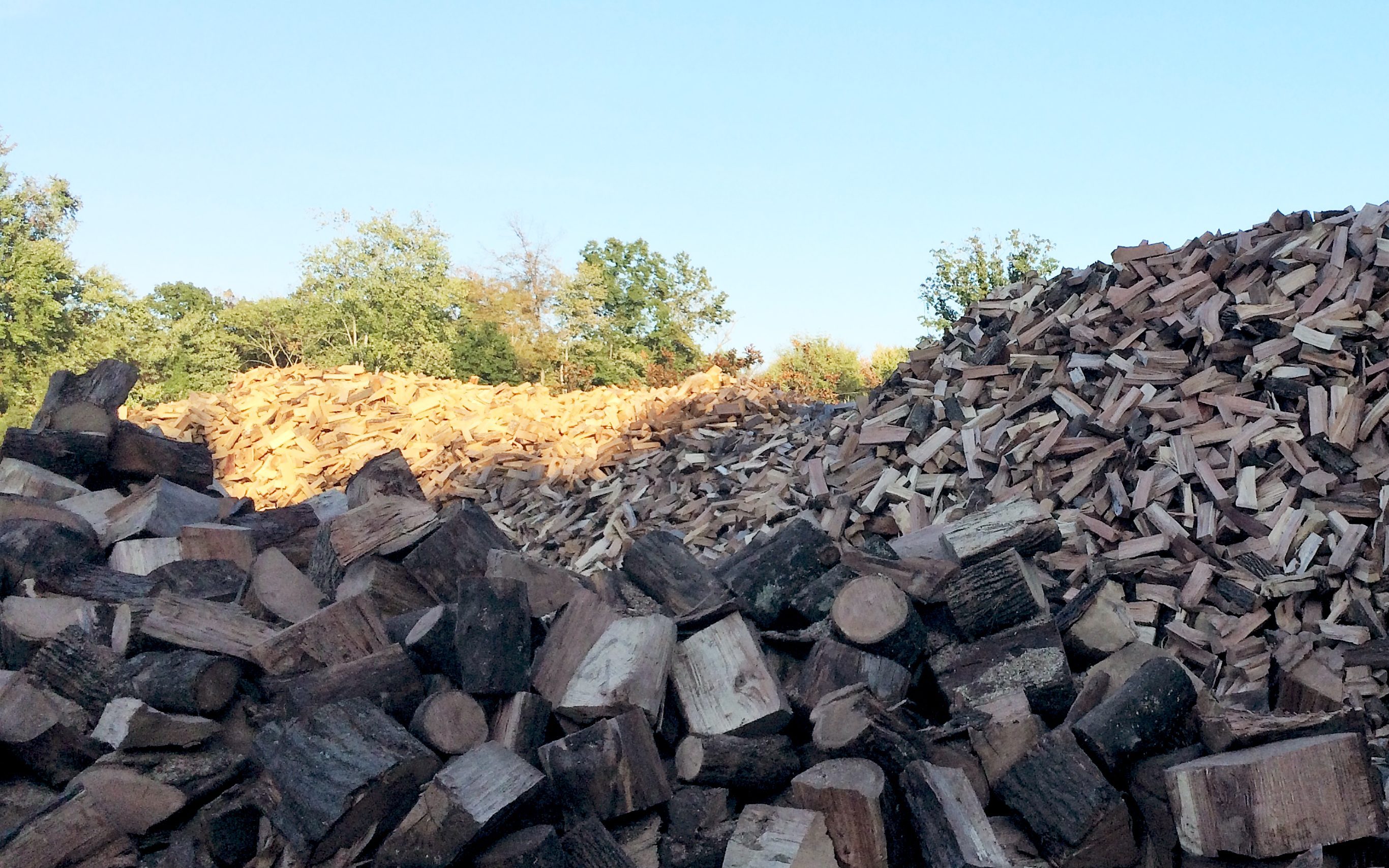 Firewood