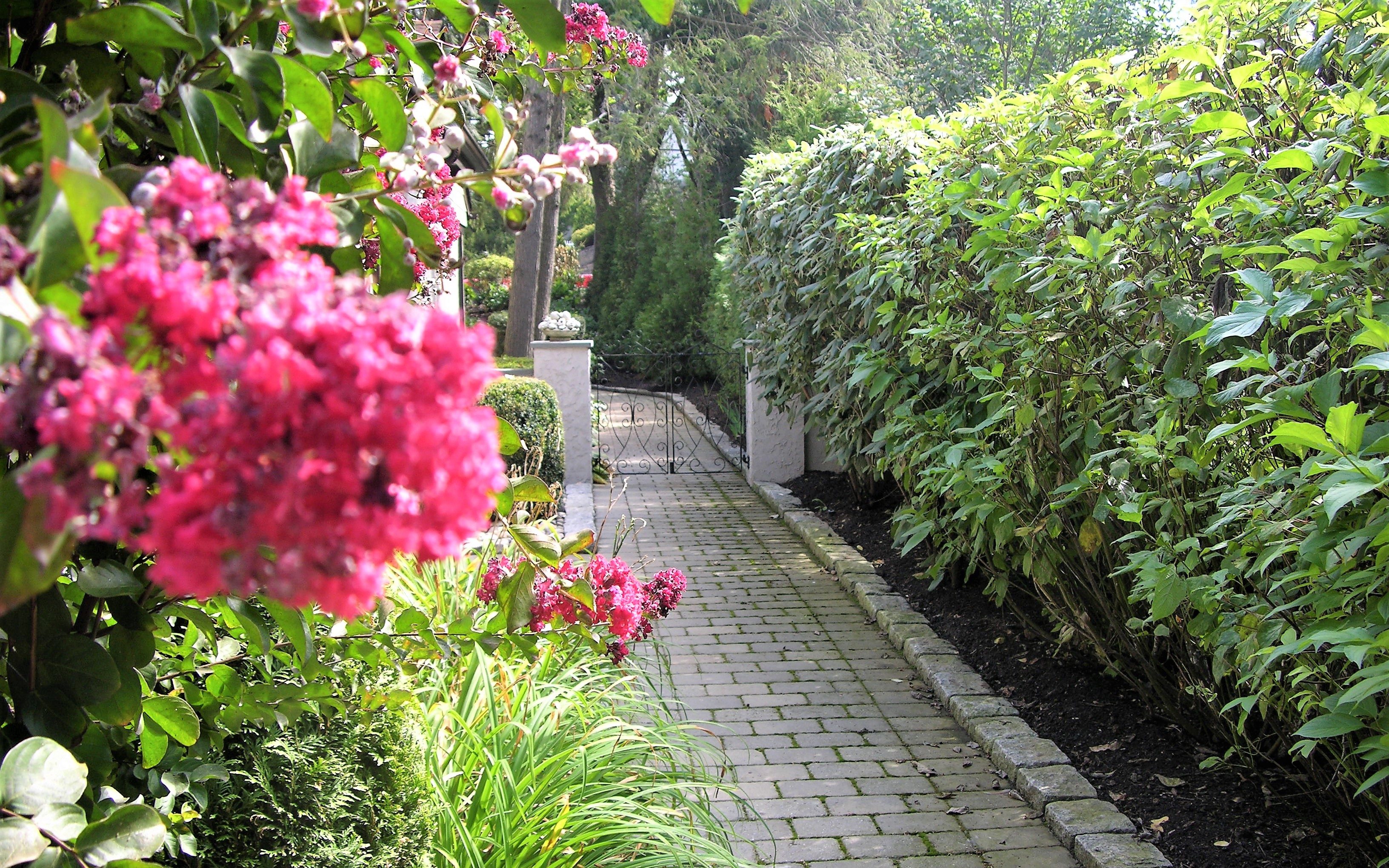 Landscaping