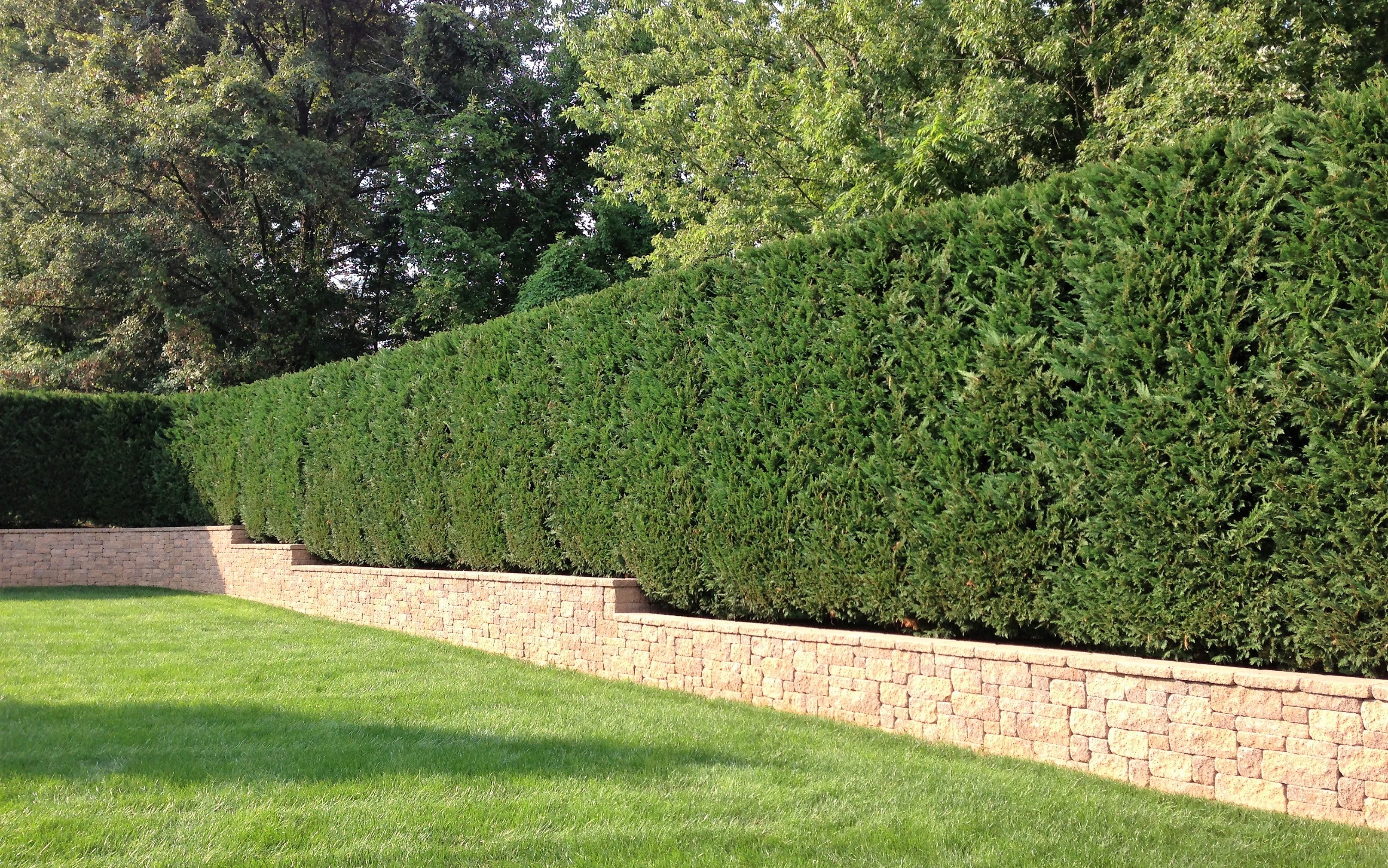 Hardscaping