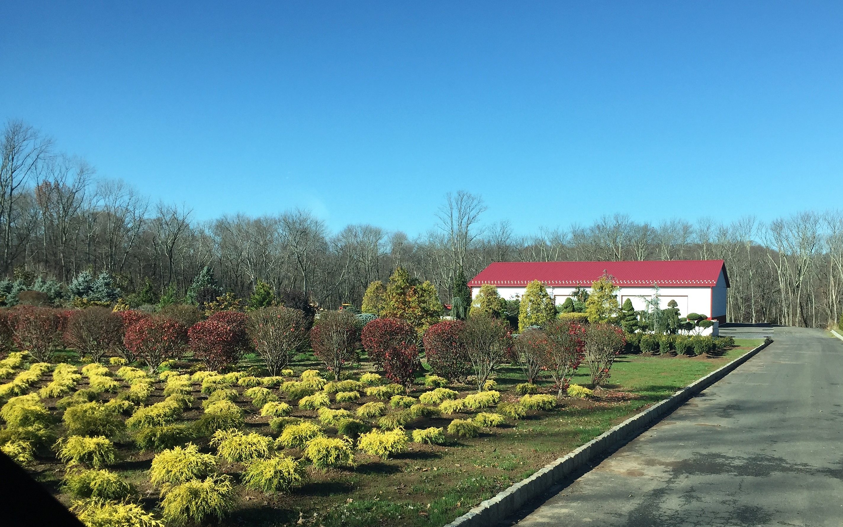 Plant Nursery